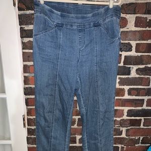 Denim and Co stretchy denim straight leg 16T